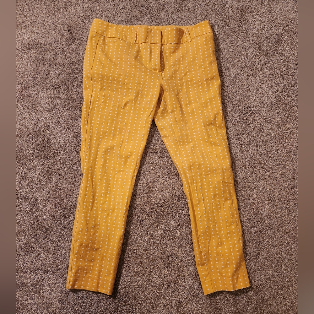 Dress pants